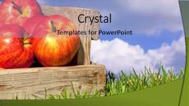  Presentation with detox green smoothies still life - Slide set having fruit harvesting - still life photo of freshly background and a light blue colored foreground