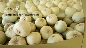  Presentation with honeydew - PPT layouts having fruit-of-honeydew-melons background and a  colored foreground