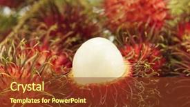  Presentation with rambutan - PPT layouts with fruit rambutan on the plain background and a tawny brown colored foreground