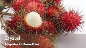  Presentation with rambutan - Amazing slides having fruit rambutan on the plain backdrop and a tawny brown colored foreground