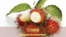  Presentation with rambutan - Colorful slide deck enhanced with fruit rambutan on the plain backdrop and a tawny brown colored foreground