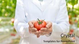  Presentation with fresh fruits vegetables - PPT layouts having fruits vegetables cultivation - midsection of scientist holding fresh background and a coral colored foreground