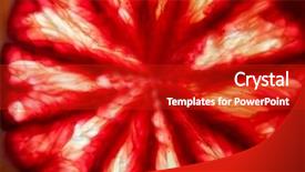  Presentation with orange slice - Cool new presentation design with fruit slices - slice of delicious juicy blood backdrop and a crimson colored foreground