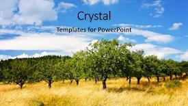  Presentation with summer trees - PPT theme enhanced with fruit trees - summer orchard background and a light blue colored foreground