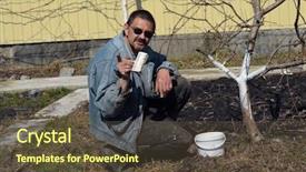  Presentation with fruit trees - Audience pleasing slide deck consisting of fruit trees in the garden backdrop and a tawny brown colored foreground