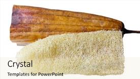  Presentation with fruit - Theme with fruit used as scrubbing sponge background and a lemonade colored foreground