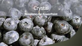  Presentation with blueberries - Presentation theme featuring fruit vaccinium - fresh blueberries v corymbosum background and a gray colored foreground