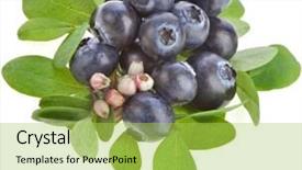  Presentation with blueberry juice - Beautiful presentation design featuring fruit vaccinium - ripe blueberry blossoming isolated backdrop and a  colored foreground