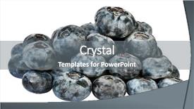  Presentation with guidance questions and career path - Amazing PPT layouts having fruit vaccinium - stack of huckelberries isolated backdrop and a  colored foreground