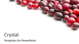  Presentation with american - Presentation theme consisting of fruit vaccinium - tasty american cranberries isolated background and a  colored foreground