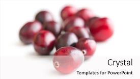  Presentation with philippine american war - PPT theme consisting of fruit vaccinium - tasty american cranberries isolated background and a  colored foreground