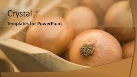  Presentation with green onions and bulb onion - Presentation theme having fruit veg - onions in wooden trug background and a  colored foreground