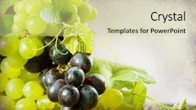  Presentation with grape - Colorful theme enhanced with  backdrop and a  colored foreground
