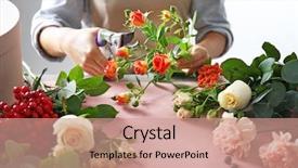  Presentation with potter hands making in clay - Beautiful presentation featuring fruitful - female florist hands making composition backdrop and a coral colored foreground