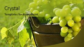  Presentation with summer sun - PPT layouts consisting of fruitful - green grapes in the summer background and a gold colored foreground