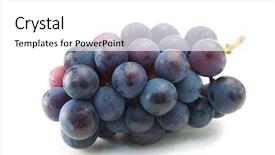  Presentation with grape vine black grapes - Presentation design consisting of fruitful - kyoho grapes giant mountain grapes background and a white colored foreground