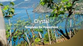  Presentation with young - Cool new PPT layouts with fruitful - rows of young grapes backdrop and a teal colored foreground