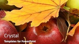  Presentation with harvest - Cool new theme with concept yellow leaves still life backdrop and a tawny brown colored foreground