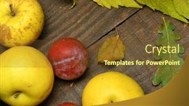  Presentation with harvest - PPT layouts enhanced with concept yellow leaves still life background and a tawny brown colored foreground