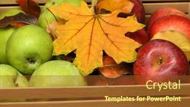  Presentation with harvest - Slide deck featuring harvest and healthy food concept background and a tawny brown colored foreground