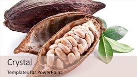  Presentation with cocoa pod - Cool new theme with fruits chocolate - cocoa pod on a white backdrop and a coral colored foreground