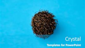  Presentation with rambutan - Slides with fruits-diet-and-food-concept background and a teal colored foreground