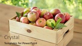  Presentation with green apples - Cool new PPT layouts with fruits-food-and-harvest-concept backdrop and a coral colored foreground