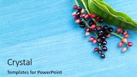  Presentation with autumn blue - Slides featuring fruits on a wooden blue background and a  colored foreground