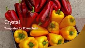  Presentation with plastic container - PPT layouts featuring fruits vegetables cultivation - fresh harvested red and yellow background and a tawny brown colored foreground