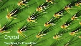  Presentation with spain - Slides featuring fruits vegetables cultivation - prickly pears close-up in lanzarote background and a tawny brown colored foreground