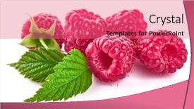 Presentation with green fresh food - PPT theme having fruits vegetables cultivation - raspberry berries with green leaf background and a  colored foreground