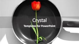  Presentation with flower beautiful lilac border - Beautiful PPT layouts featuring frying pan with beautiful tulip backdrop and a  colored foreground