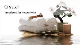  Presentation with orchid - Presentation design with portrait of four white collar workers discussing a new plan background and a gray colored foreground