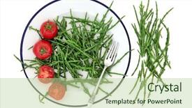  Presentation with dietary fiber - Slide deck featuring fucoidans dietary fiber and calcium background and a mint green colored foreground