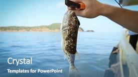  Presentation with fishing - Amazing PPT theme having fugu fish caught while fishing backdrop and a teal colored foreground