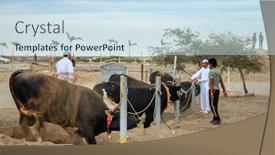  Presentation with uae - 