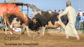  Presentation with uae - 