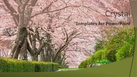  Presentation with cemetery - Slides having fuji-reien-cemetery-shizuoka-japan background and a coral colored foreground