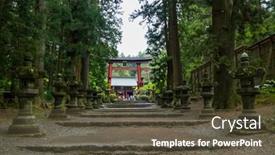  Presentation with cedar - 