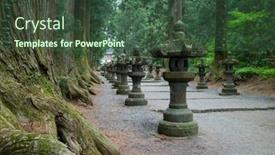  Presentation with cedar - 