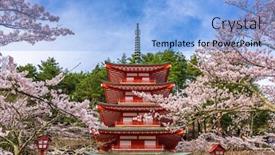  Presentation with japan cherry blossom - Colorful PPT layouts enhanced with fujiyoshida-japan-at-chureito-pagoda backdrop and a light blue colored foreground
