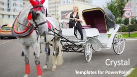  Presentation with white horse - Colorful PPT theme enhanced with full body harness - coachman woman on trestles backdrop and a gray colored foreground