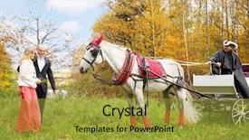  Presentation with coat horse cow camel sheepoffspring - Audience pleasing PPT theme consisting of full body harness - happy couple stand near coach backdrop and a gold colored foreground