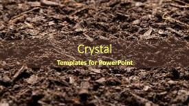  Presentation with rich - PPT theme enhanced with full-frame-of-dark-rich background and a tawny brown colored foreground