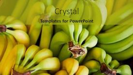  Presentation with farm - Amazing presentation having full frame shot of fresh bananas displayed in organic farm shop backdrop and a gold colored foreground