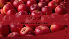  Presentation with market - Amazing theme having full-frame-shot-of-red backdrop and a crimson colored foreground