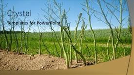  Presentation with summer time - Theme having full-grown-green-asparagus background and a light blue colored foreground