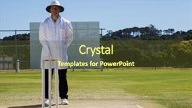  Presentation with cricket - Theme with full length of umpire standing background and a tawny brown colored foreground