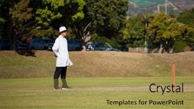  Presentation with cricket - PPT theme enhanced with full length of umpire standing background and a yellow colored foreground