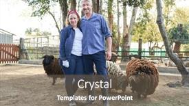  Presentation with full length portrait two men women brown sweater - Theme having full-length-portrait-of-smiling background and a  colored foreground